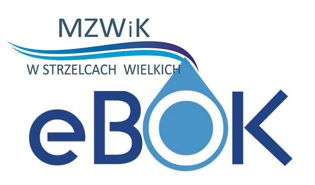 E-bok – szybko i&nbsp;wygodnie